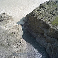 سزار