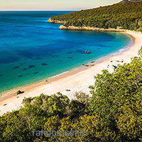 پورتینو د آرابیدا